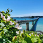 沖縄 一人 旅の予算に優しいヒント